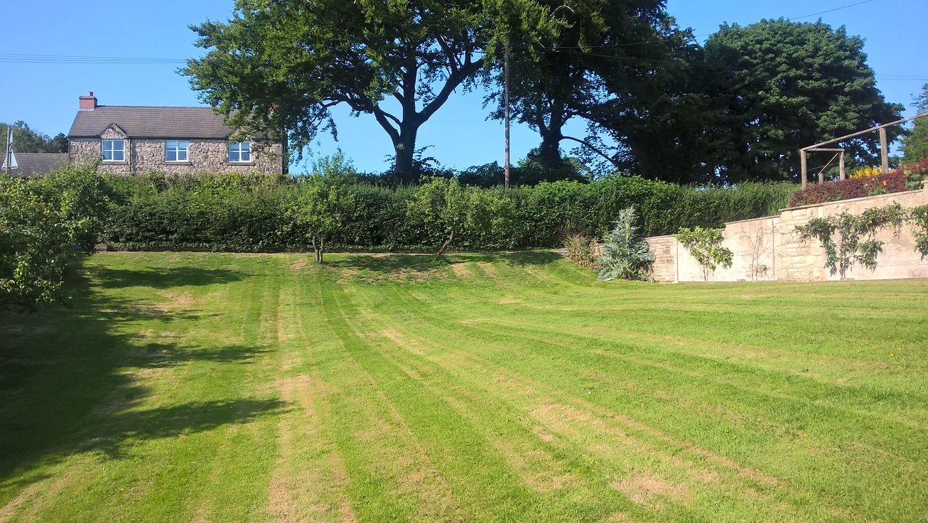 Garden with fruit trees
