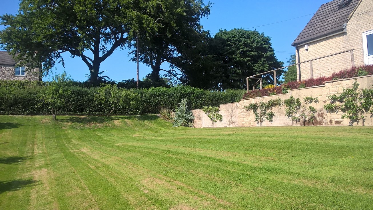 Garden with fruit trees